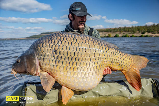 Crap_de_30kg_la_Horgesti_1