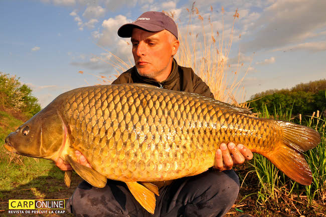 Farfuria_cu_boilies_12