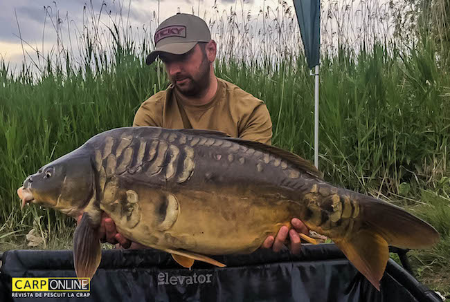 Ingrediente_Sticky_Baits_3