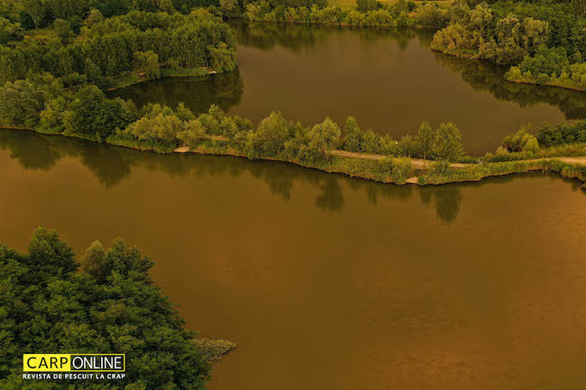 Momeli_flotante_in_teste_1