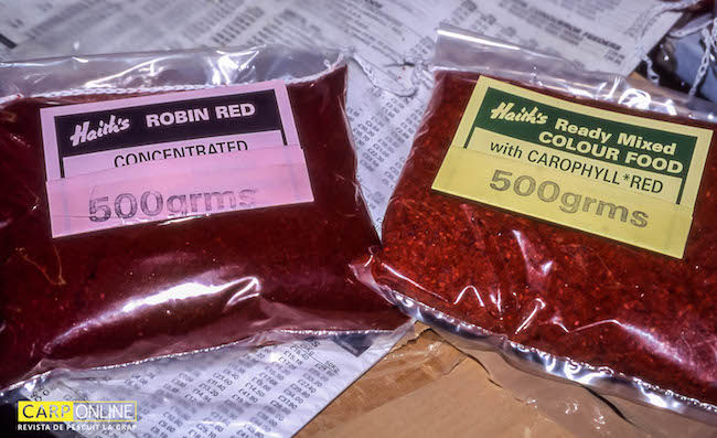 Robin_Red_6