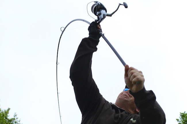 TE Tehnica la distanta 4