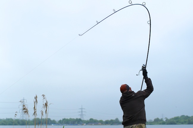 TE Tehnica la distanta 7