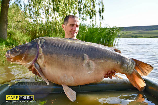 Victor_Costache_Montura_CostaUp_1